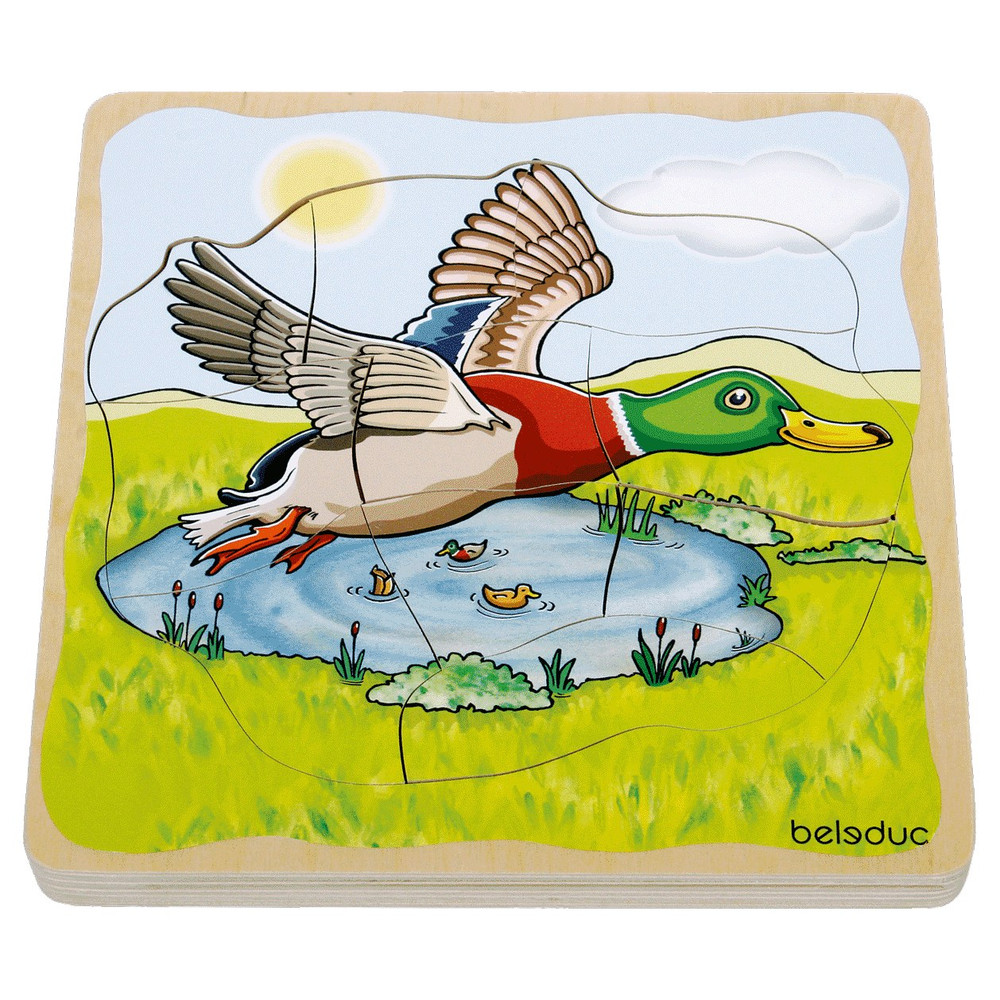 Wooden Life Cycle Duck Puzzle - image 5