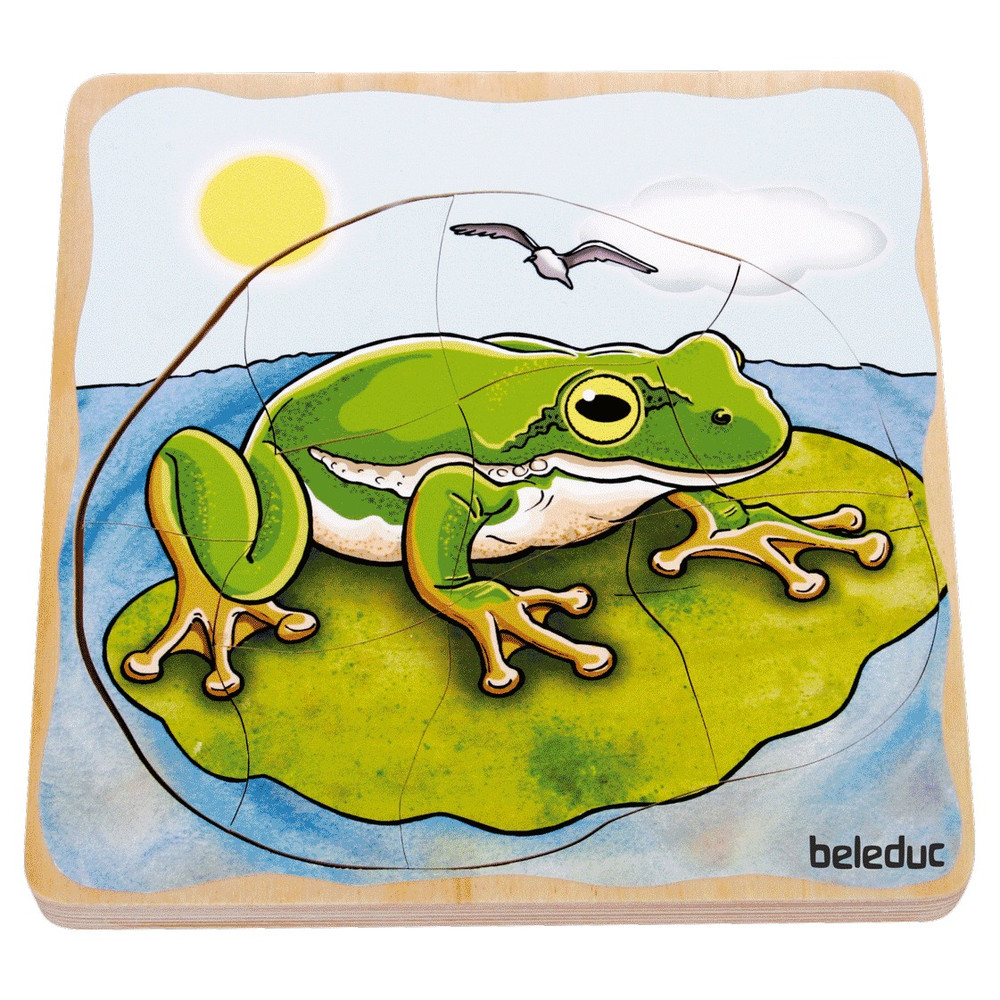 Beleduc Multilayer Puzzle - Life Courses - Frog - image 6