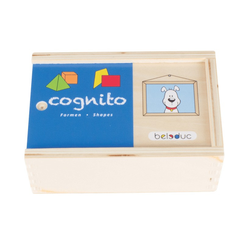 Beleduc Cognito Shapes Puzzle Box 2