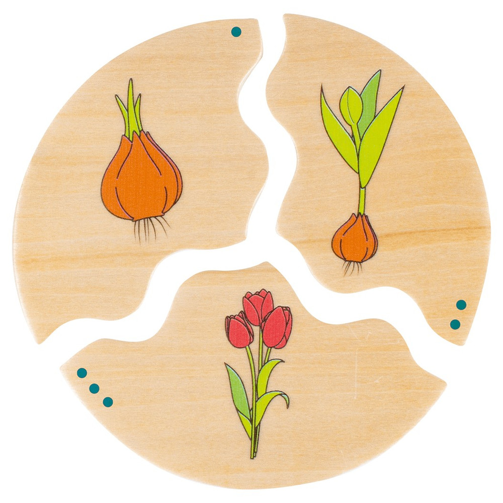 Beleduc Nawito Puzzle Set of 10 - Life Cycle Evolution - image 6