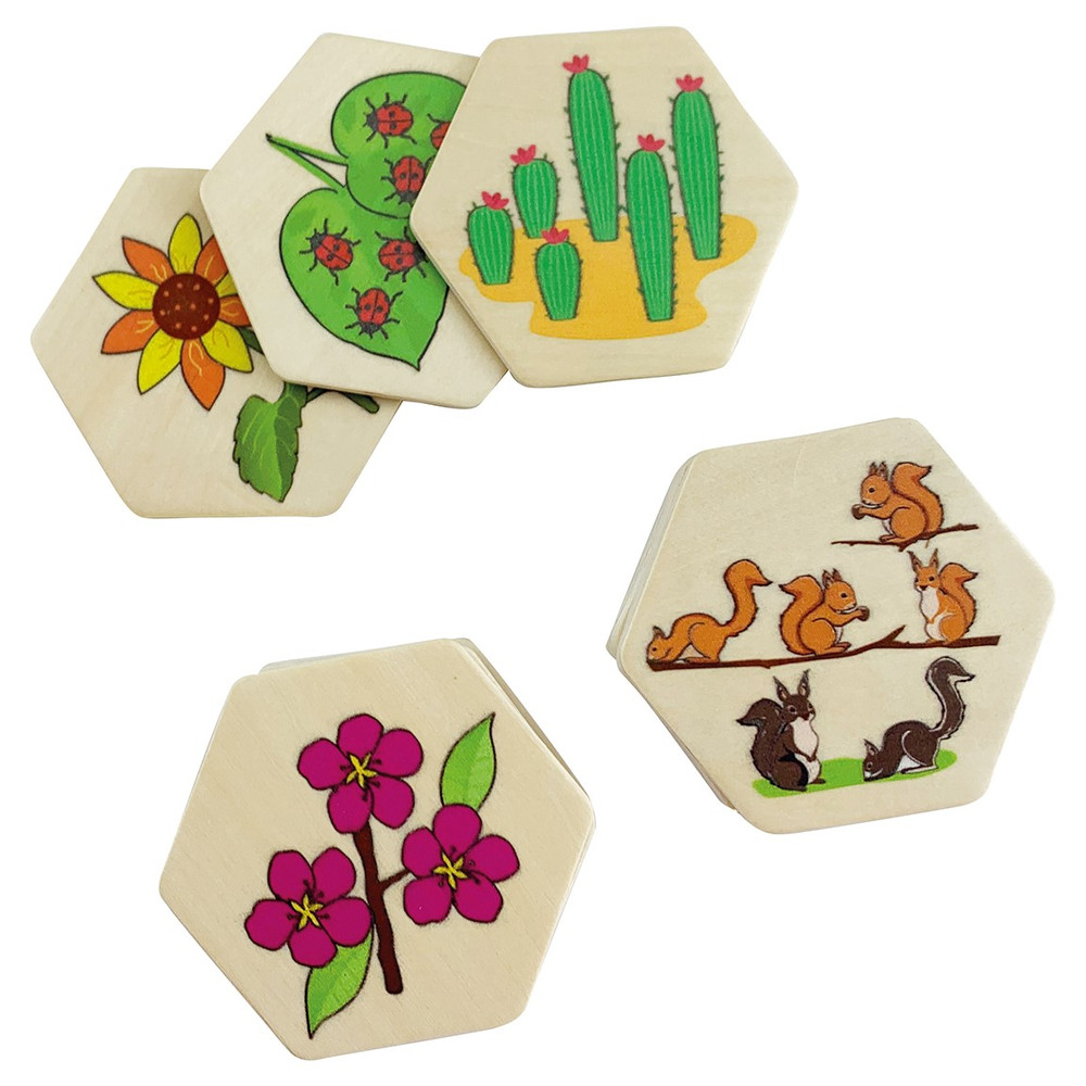 Beleduc - Nature Memory Game - image 9