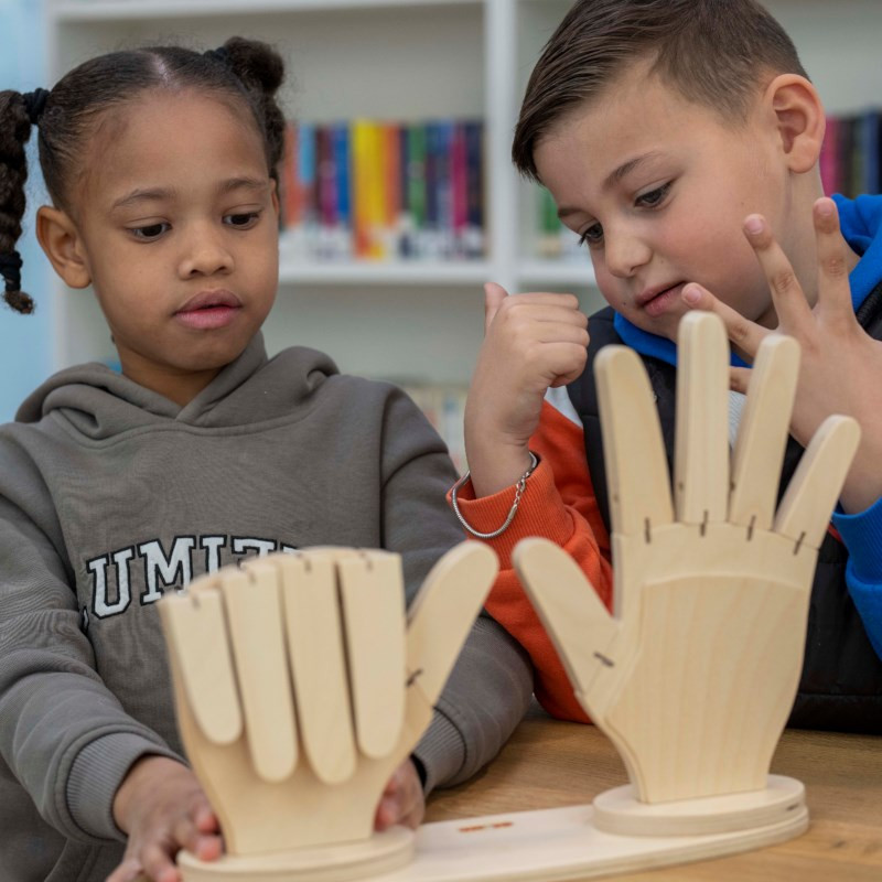 educo wooden counting hands