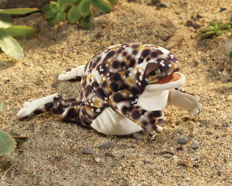 Folkmanis Desert Rain Frog Puppet - image 2