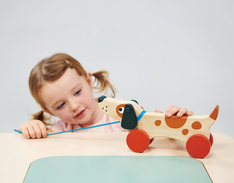 Mentari Puppy On Wheels Pull Along - image 2