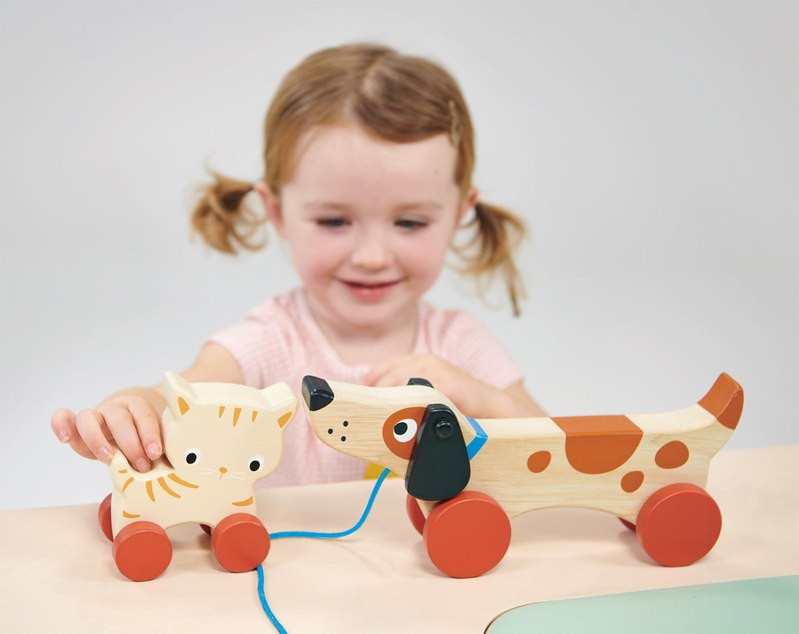 Mentari Puppy On Wheels Pull Along - image 4