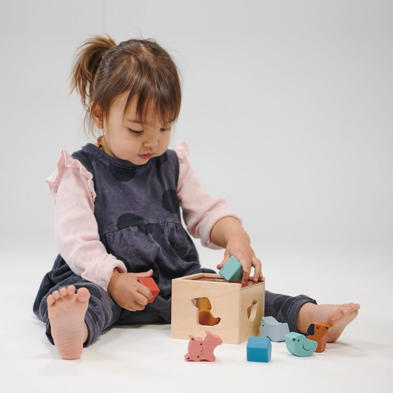 Mentari Bambino Shape Sorting Cube - image 3
