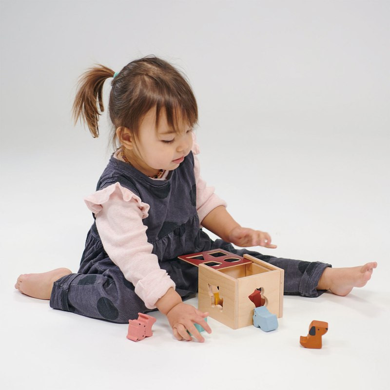 Mentari Bambino Shape Sorting Cube - image 4
