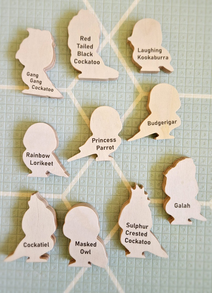 Qtoys Australian Birds Set of 10 - image 3