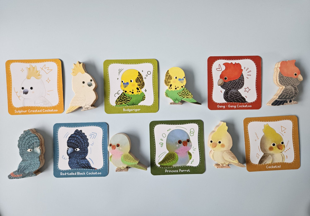 Qtoys Australian Birds Set of 10 - image 6