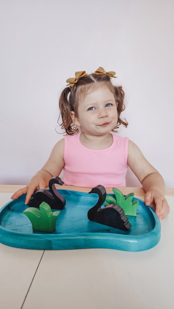 Qtoys Swan Lake Pretend Play Set