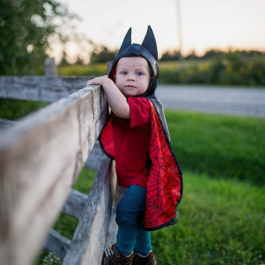 Great Pretenders Reversible Spider & Bat Cape 2-in-1 Toddler Costume for Little Superheroes - image 9