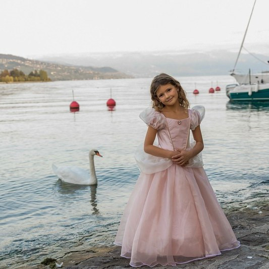Great Pretenders Pink Antique Princess Gown Puff Sleeves Mesh Cover Dress Kids Costume - image 7