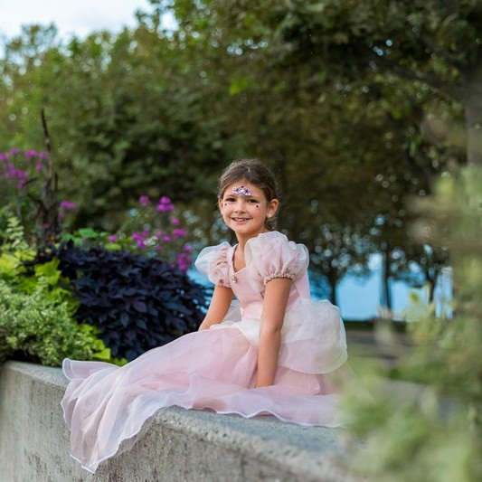 Great Pretenders Pink Antique Princess Gown Puff Sleeves Mesh Cover Dress Kids Costume - image 12