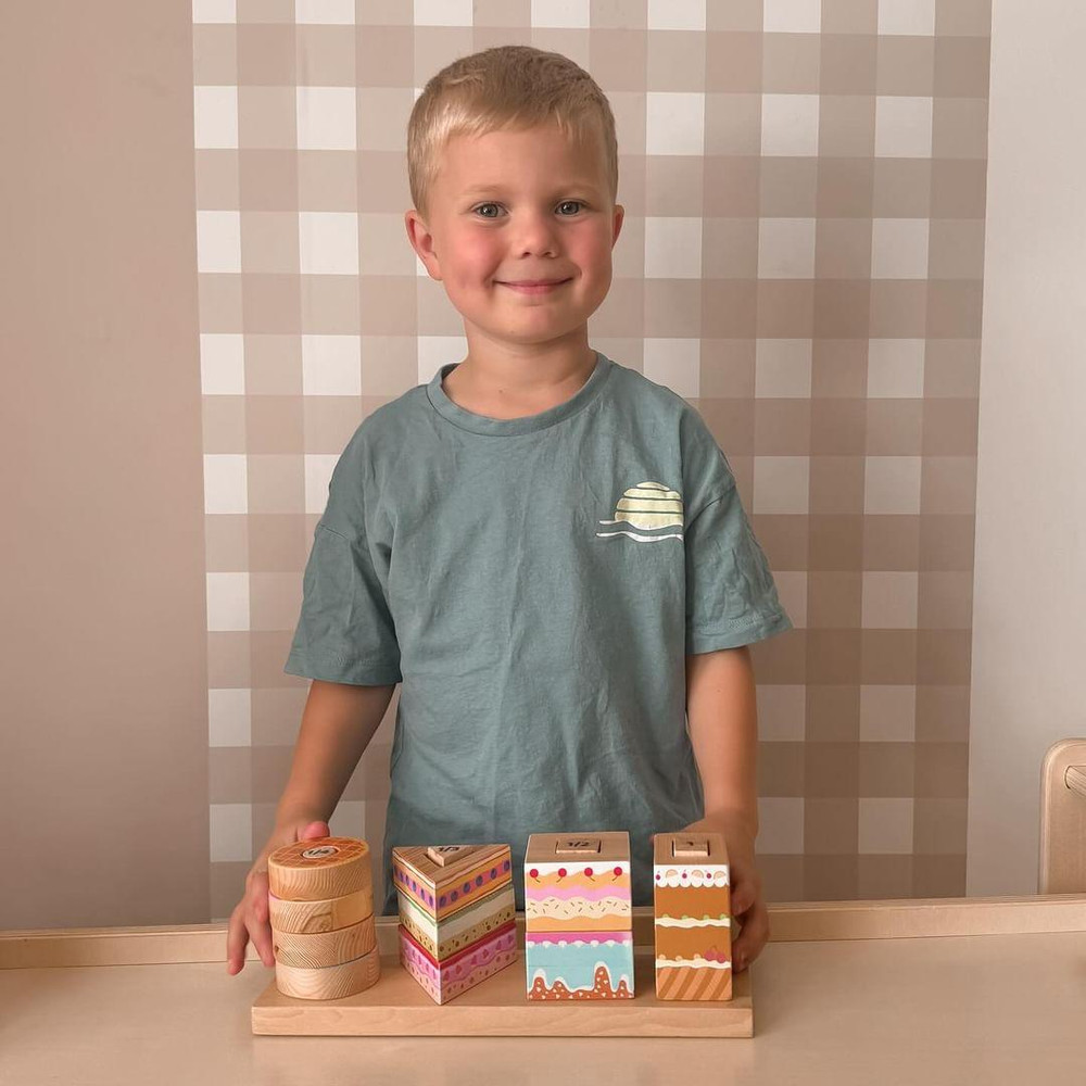 wooden fraction cake stacking toy