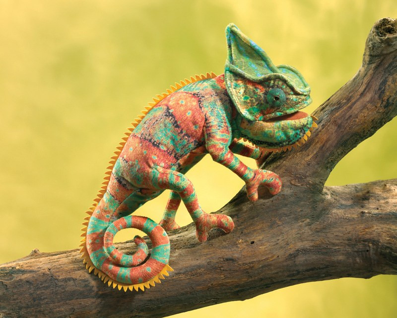 Folkmanis Small Chameleon Puppet - image 7
