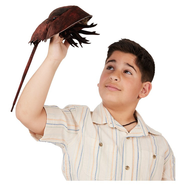 Folkmanis Horseshoe Crab Puppet - image 2