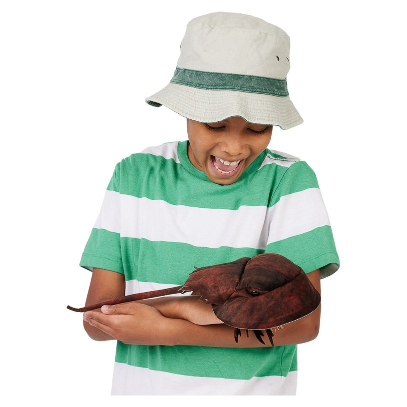 Folkmanis Horseshoe Crab Puppet - image 3