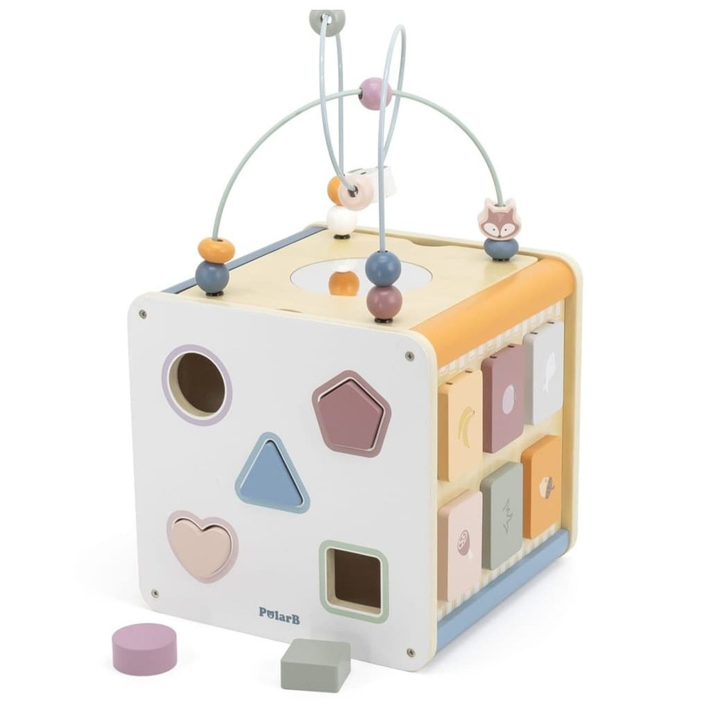 polarb activity cube