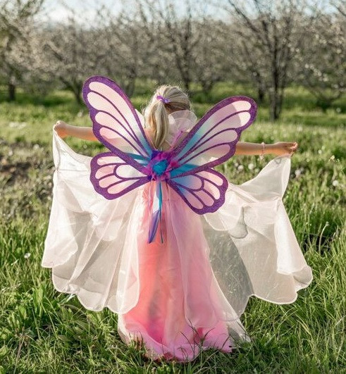 Butterfly Twirl Dress girls costume