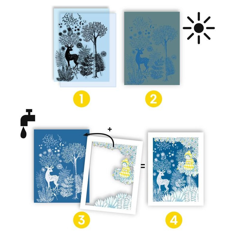 Djeco Au Clair De La Lune Cyanotype Workshop - image 4