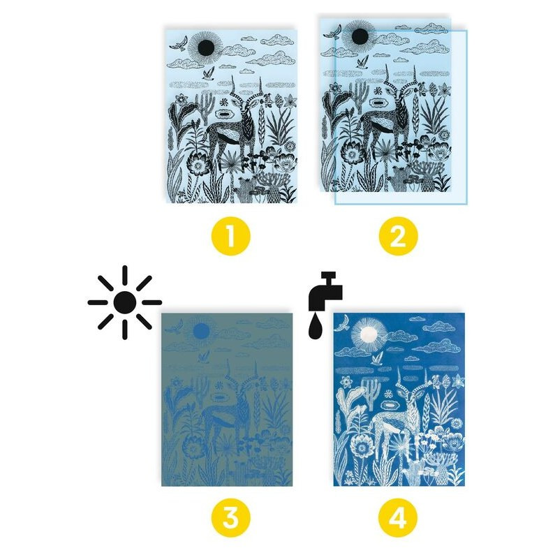 Djeco Night Time in the Savannah Cyanotype Workshop - image 4