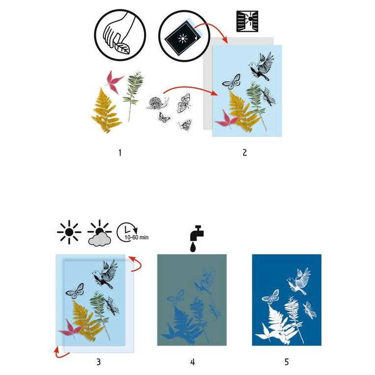 Djeco Cyanotype Starter Kit - image 2
