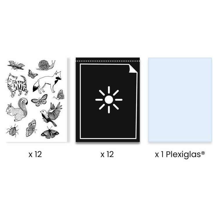 Djeco Cyanotype Starter Kit - image 4