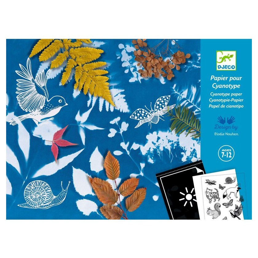 Djeco Cyanotype Starter Kit - image 5