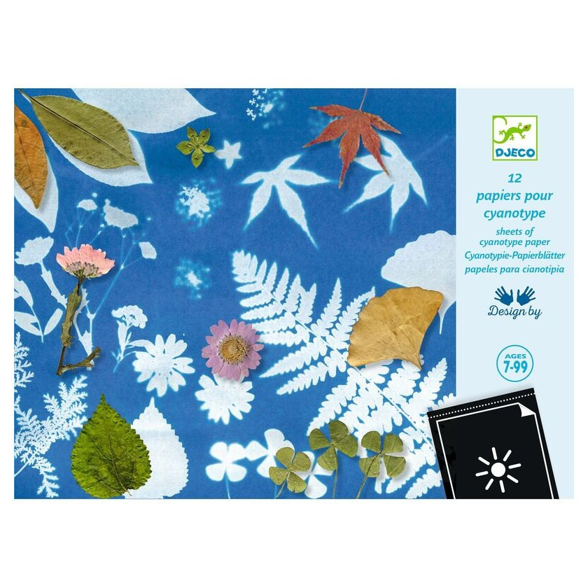 Djeco Cyanotype Paper - image 3