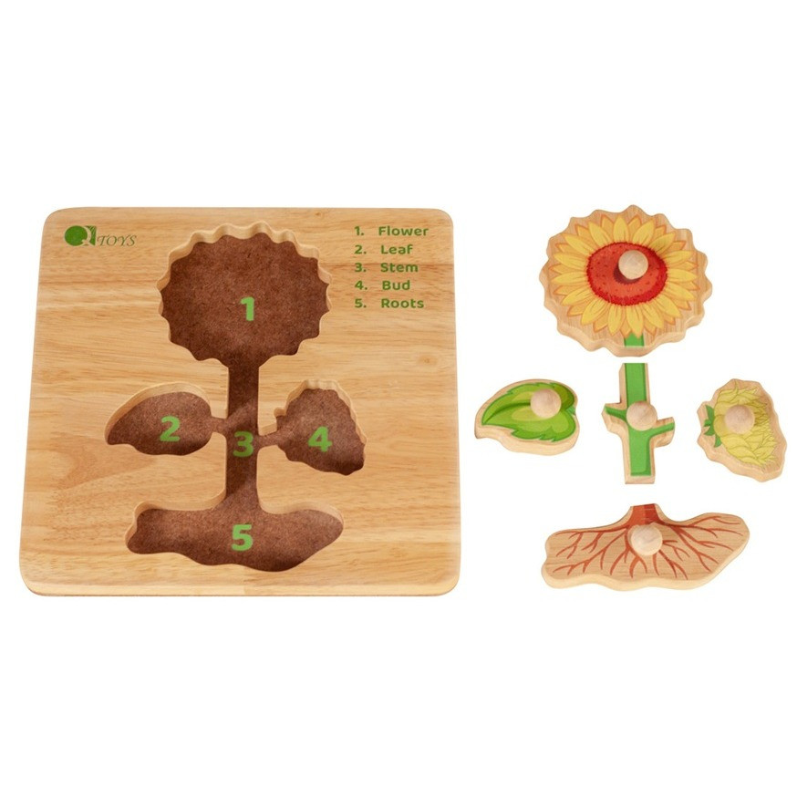 qtoys flower peg puzzle
