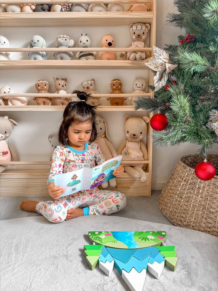 Qtoys Mountain Puzzle and Book Set