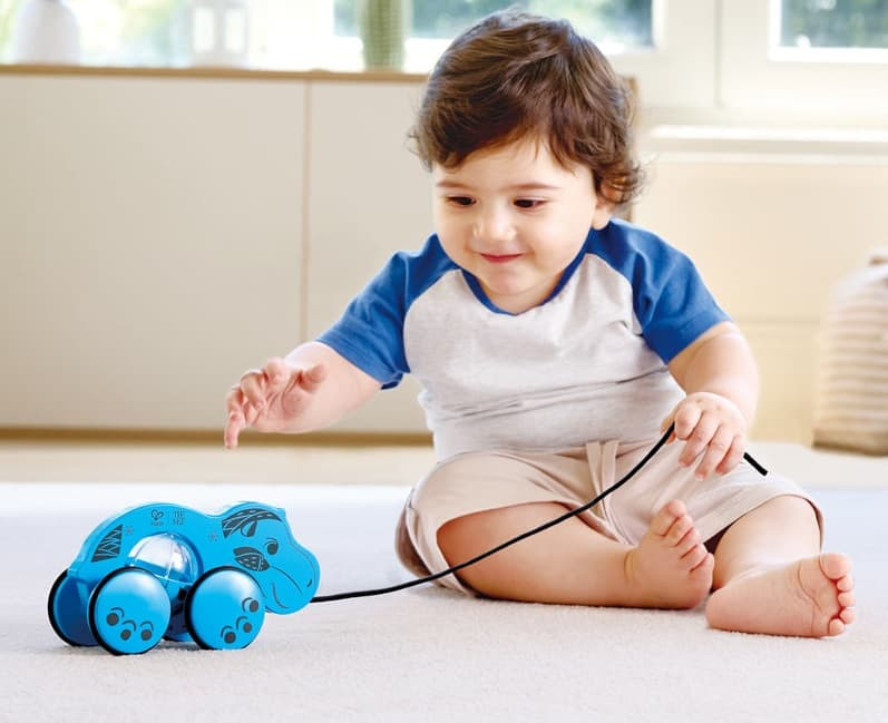 William Pull-Along Toy