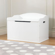 Austin Toy Box