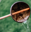 Coconut Water Scoop