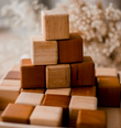 qtoys natural two toned block set