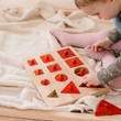 Qtoys Toddler Knob Montessori Puzzle