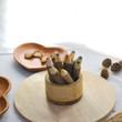 Qtoys Tree colour pencil set4