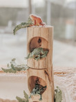 Qtoys Log Counting and Trays Set of 5