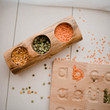 Log Counting and Sorting Trays Set of 5