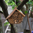 Hanging Bee House 1