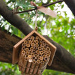 Hanging Bee House