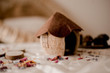 Qtoys Coconut Gnome House 1
