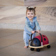 Wheely Bug Ladybug Small - image 13