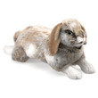 Folkmanis Holland Lop Rabbit Puppet