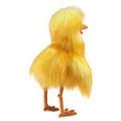 Folkmanis Funny Bird Puppet - image 3