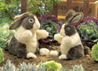 Folkmanis Dutch Rabbit Puppet - image 4