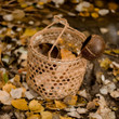 Qtoys Beach Play Basket in nature