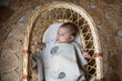 David Fussenegger Off White Snail & Hedgehog Juwel Bassinet Blanket has your favourite garden critters in a lovely and timeless cream fabric.