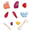 Hape Human Body Life Size Puzzle extra puzzle parts