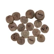 qtoys wooden animal learning discs